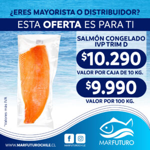 SALMON CONGELADO